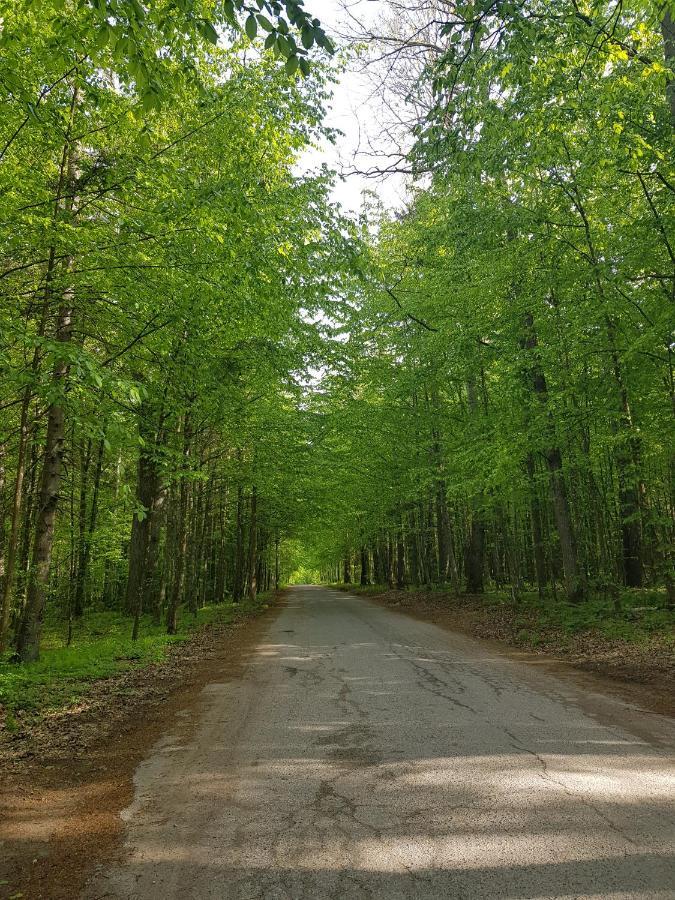 Serce Nieznanego Boru Lipiny  Exteriör bild